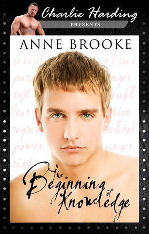 Cover The Beginning Of Knowledge englisch Cover The Beginning Of Knowledge englisch